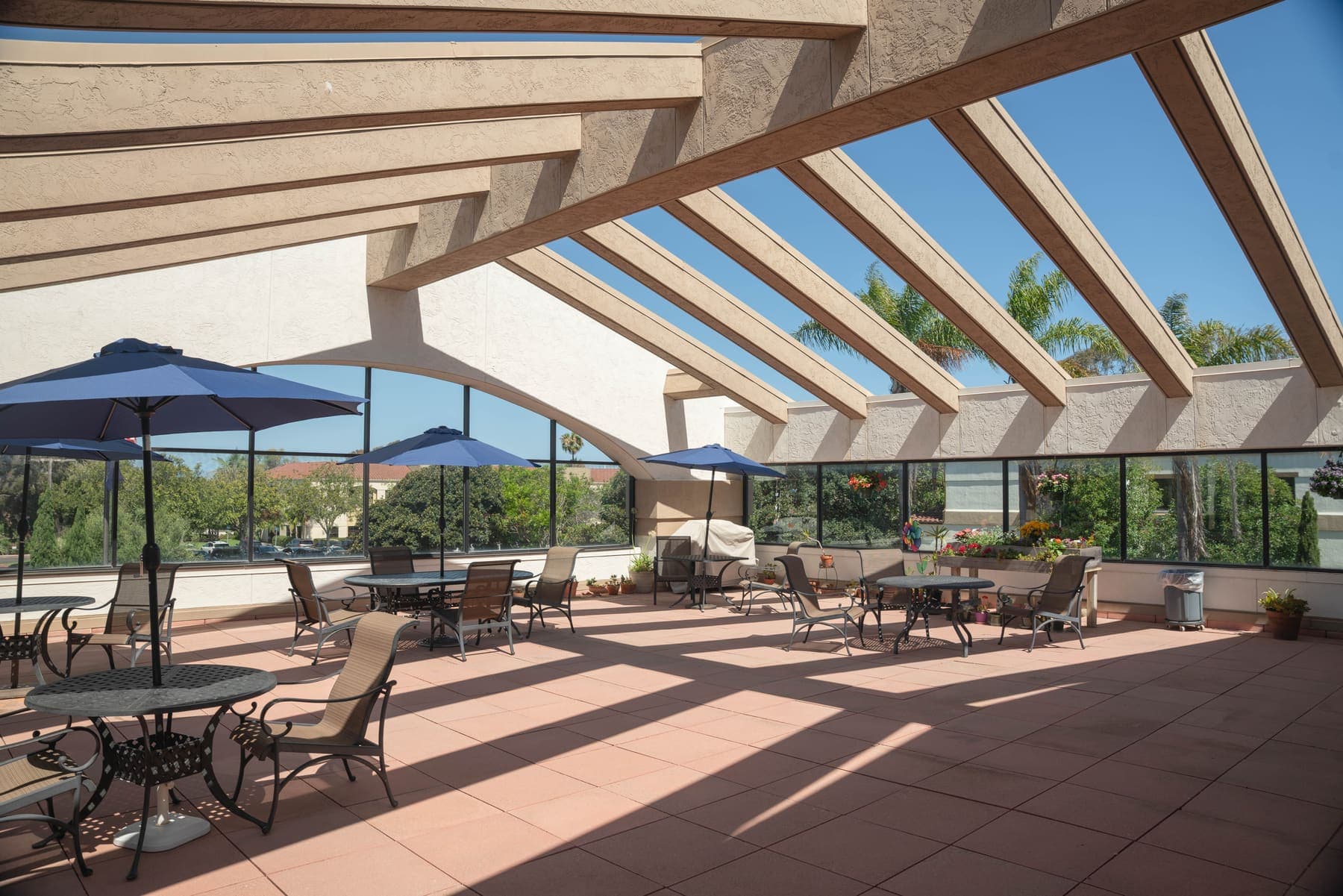 The sunny courtyard patio beneath the open pergola